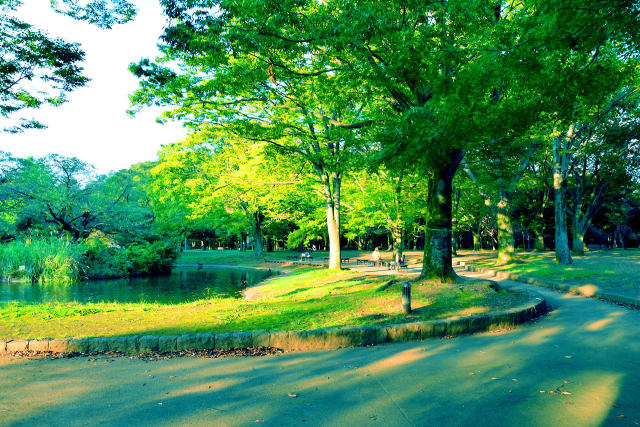 初秋の代々木公園・8