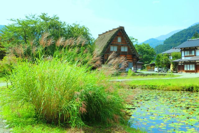 白川郷9月