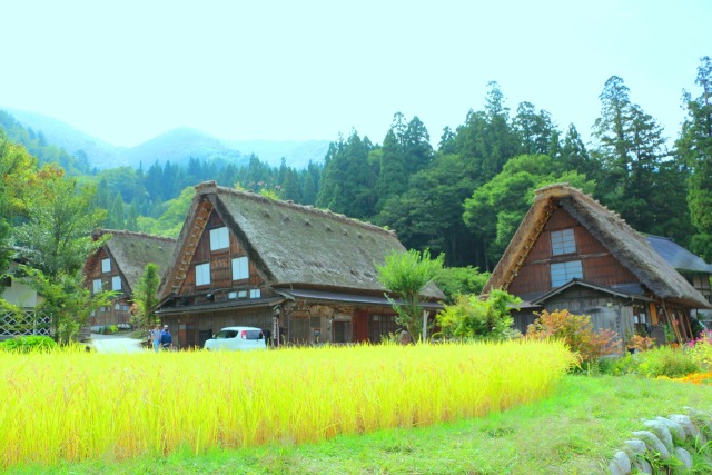 初秋の白川郷