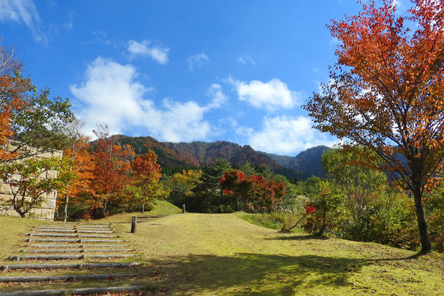 高原の秋