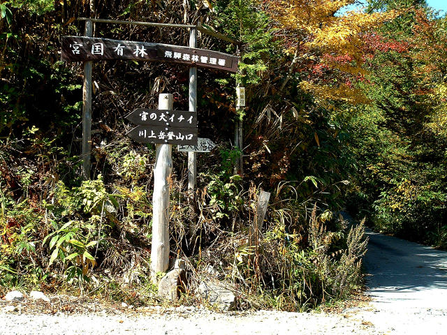 飛騨の宮川上流