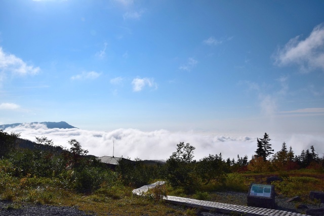 弥陀ヶ原の雲海