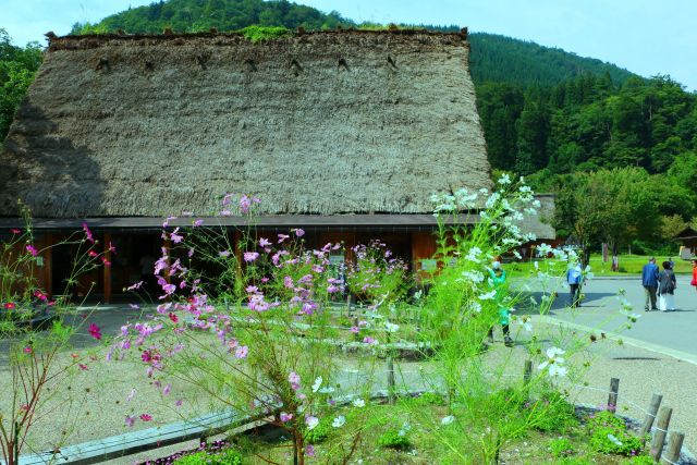 白川郷9月