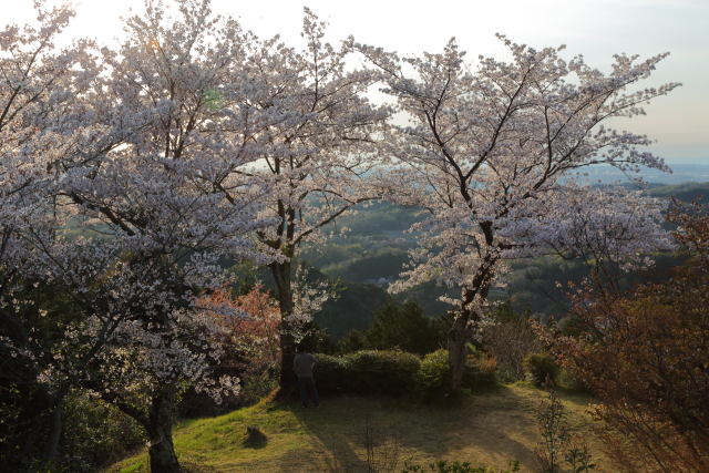 桜の古城