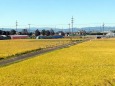 岐阜の田園風景