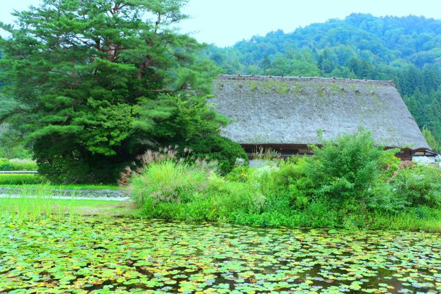 初秋の白川郷