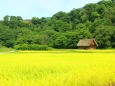 初秋の白川郷