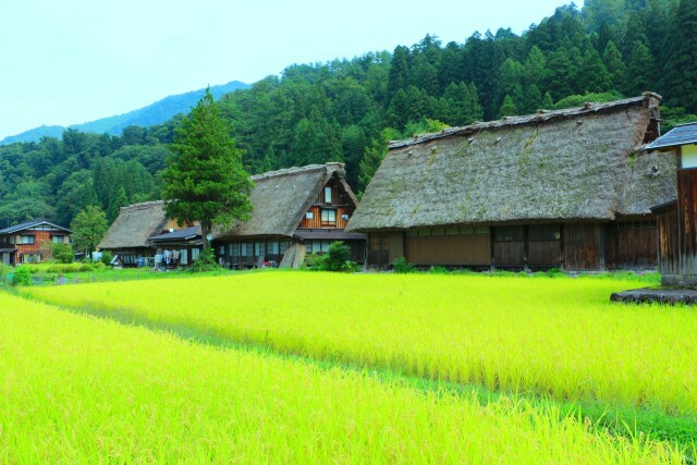 初秋の白川郷