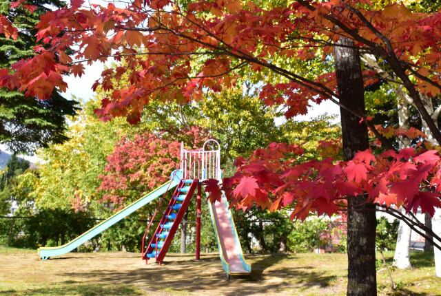 色付き始めた公園