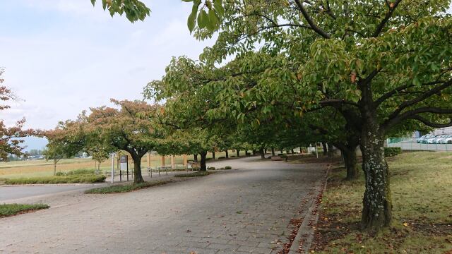 紅葉の季節の信州松本