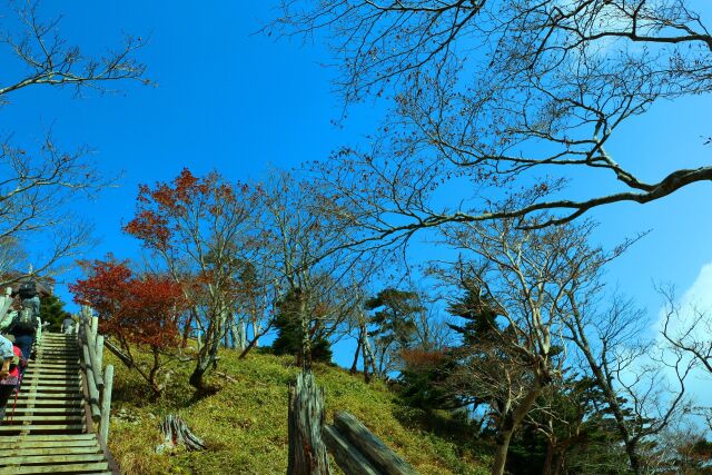 大台ケ原10月山頂