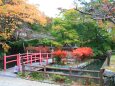 初秋の談山神社
