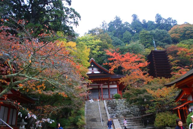 初秋の談山神社