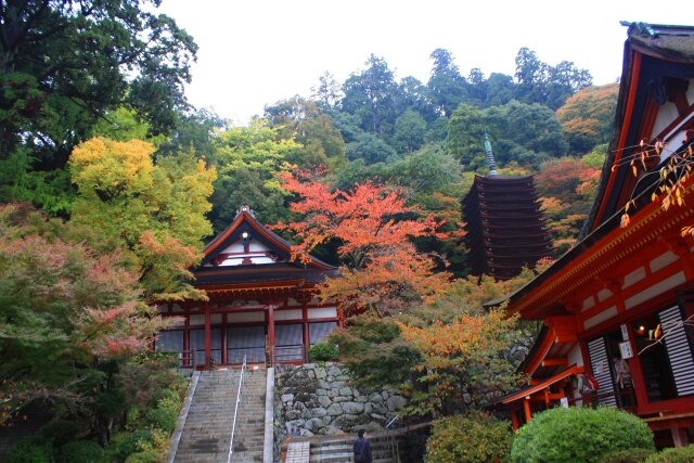 初秋の談山神社