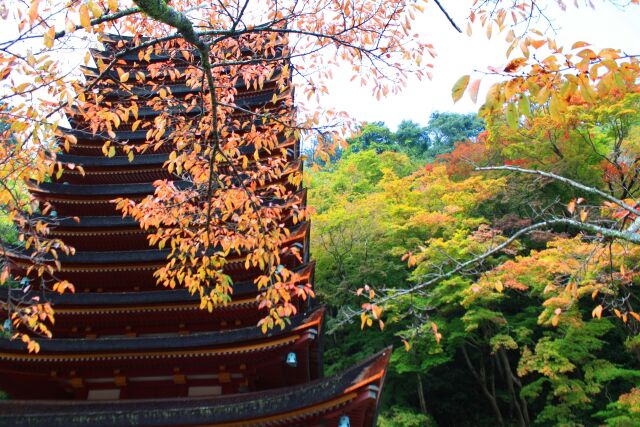 初秋の談山神社