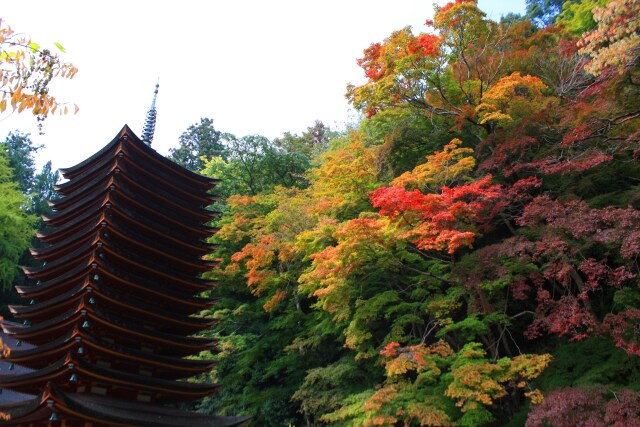 初秋の談山神社