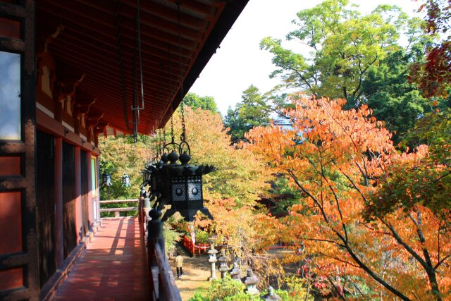 初秋の談山神社