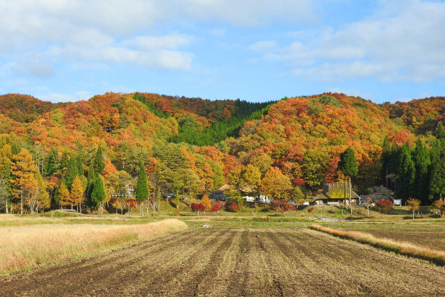 山里 秋 紅葉