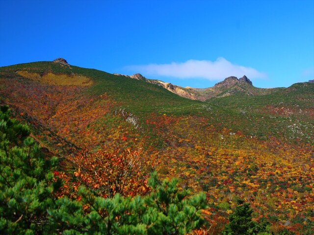 秋の安達太良山