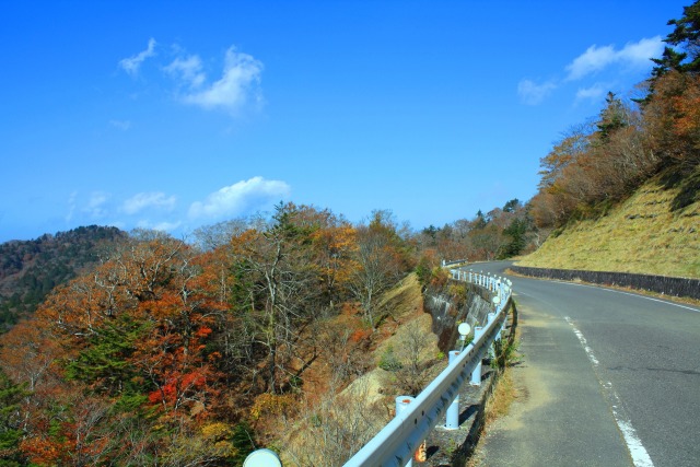 大台ケ原10月紅葉