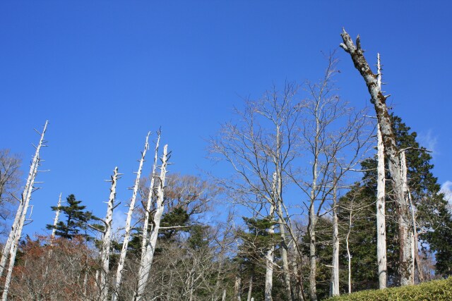 大台ケ原10月山頂