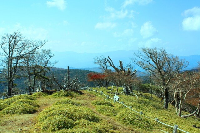 大台ケ原10月山頂