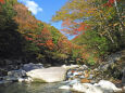 秋の渓流 紅葉