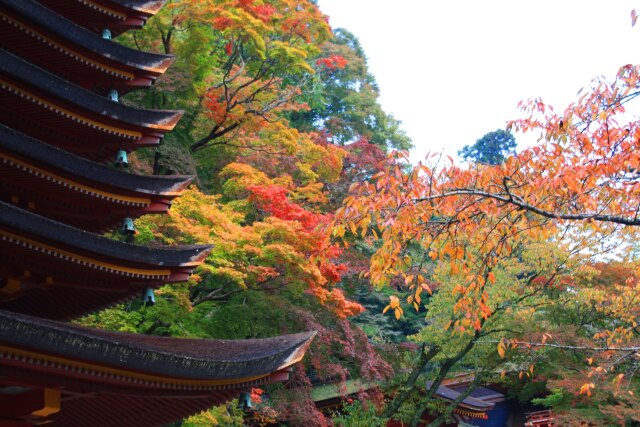 初秋の談山神社