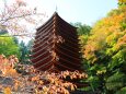 初秋の談山神社