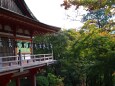 初秋の談山神社