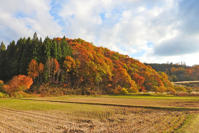 山里 秋 紅葉2