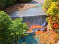 八幡平10月紅葉