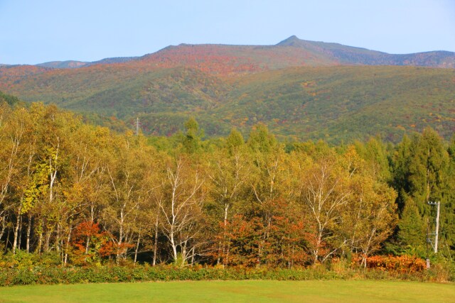 八幡平10月紅葉