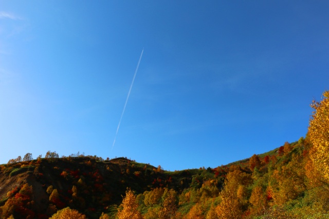 八幡平10月紅葉