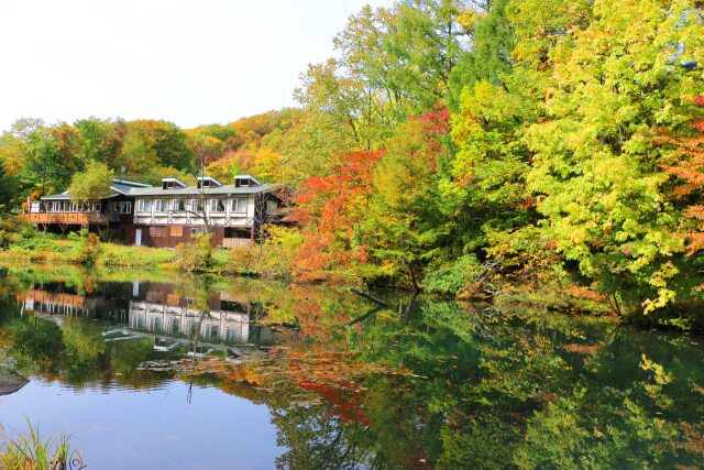 八幡平10月紅葉