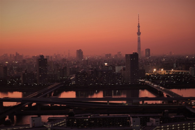 スカイツリーの夕景