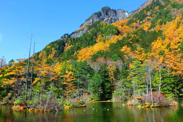 上高地19年11月1日