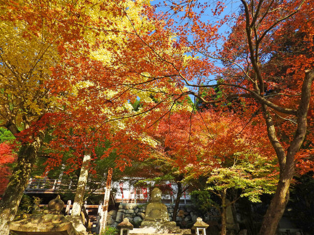 境内の紅葉2