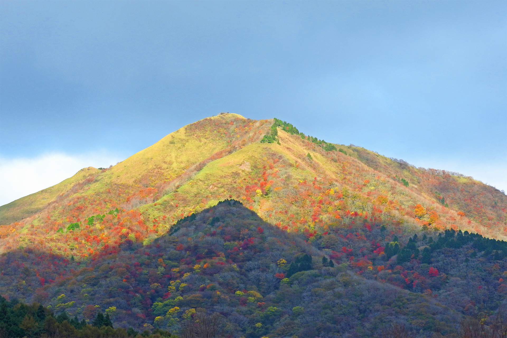 日本の風景 蒜山 紅葉 壁紙19x1280 壁紙館