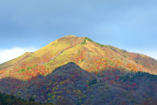 蒜山 紅葉