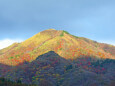 蒜山 紅葉