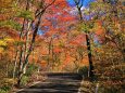 花山 国見峠