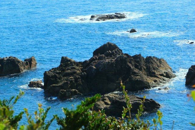 潮岬11月