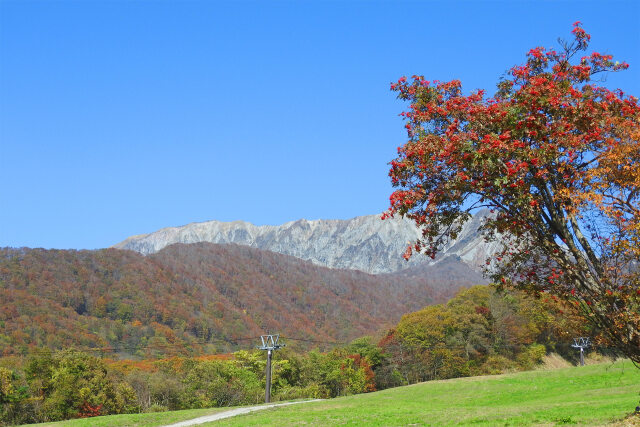 大山 秋 紅葉