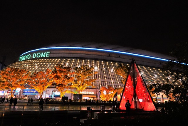 東京ドームの夜景と紅葉