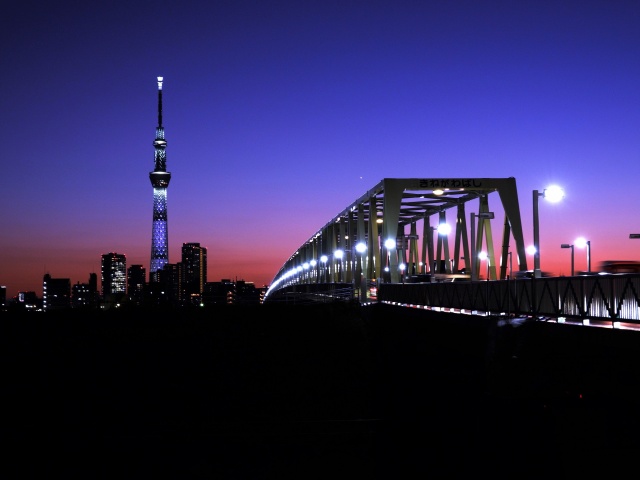 スカイツリーと木根川橋