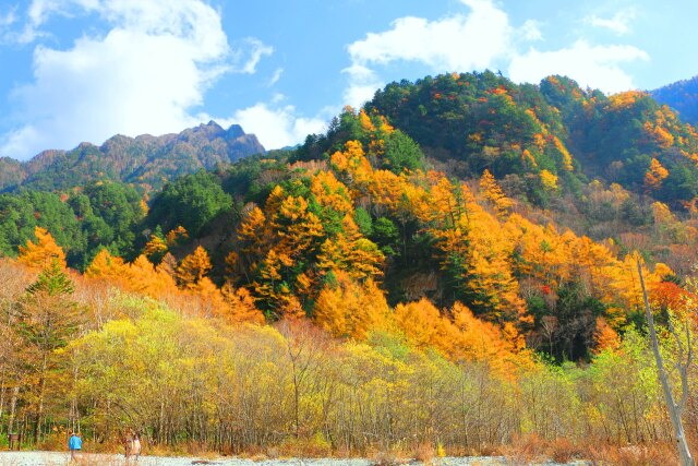 上高地11月