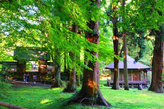 秋の平泉