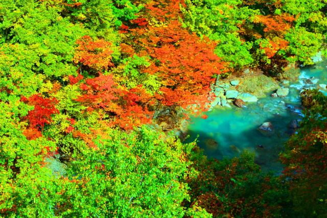 八幡平紅葉