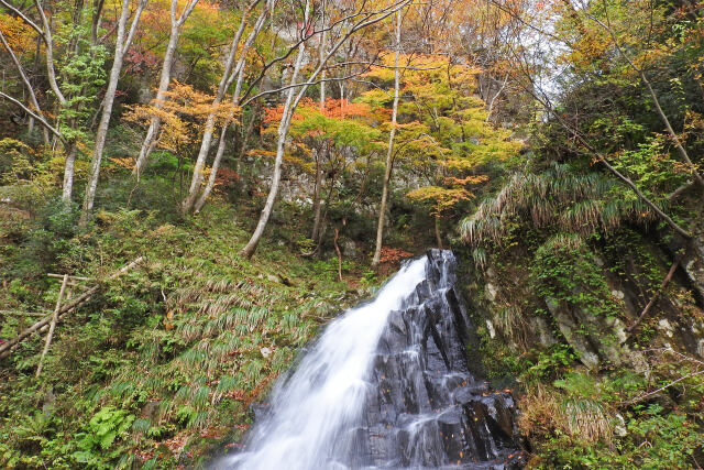 筥滝 紅葉